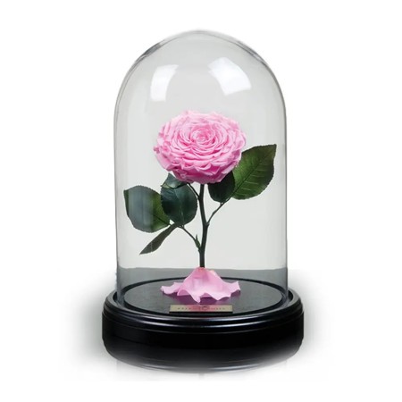 باکس گل رز جاودان صورتی