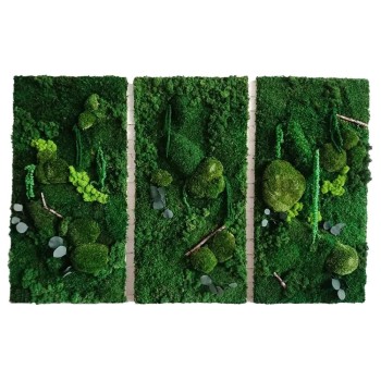 تابلو خزه ای جاودان مدل سه تایی