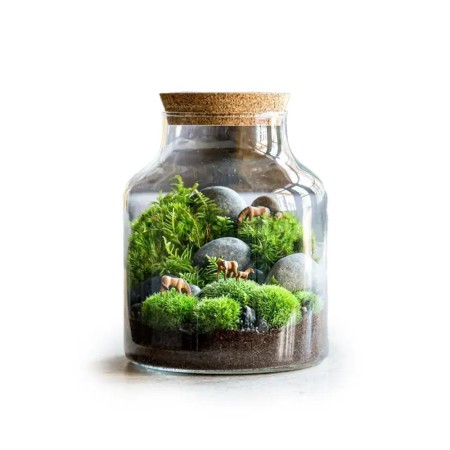 باکس تراریوم جاودان مدل بانکه