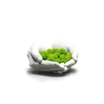 تراریوم جاودانه بدون باکس مدل دست