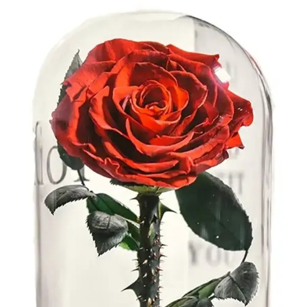 گیفت تبلیغاتی گل رز جاودان قرمز