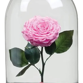 باکس گل رز جاودان صورتی 2