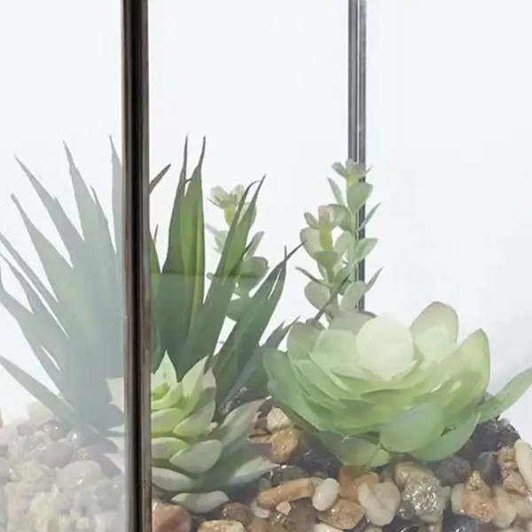 باکس تراریوم جاودان مدل مکعب