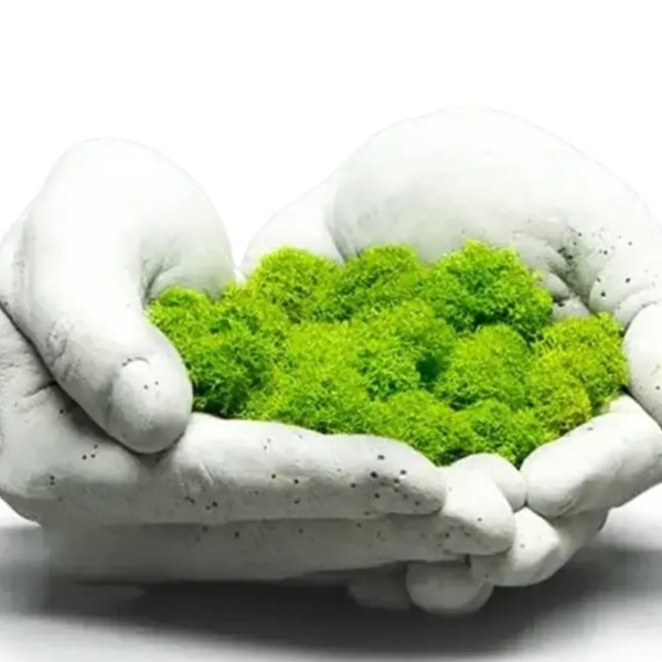 تراریوم جاودانه بدون باکس مدل دست